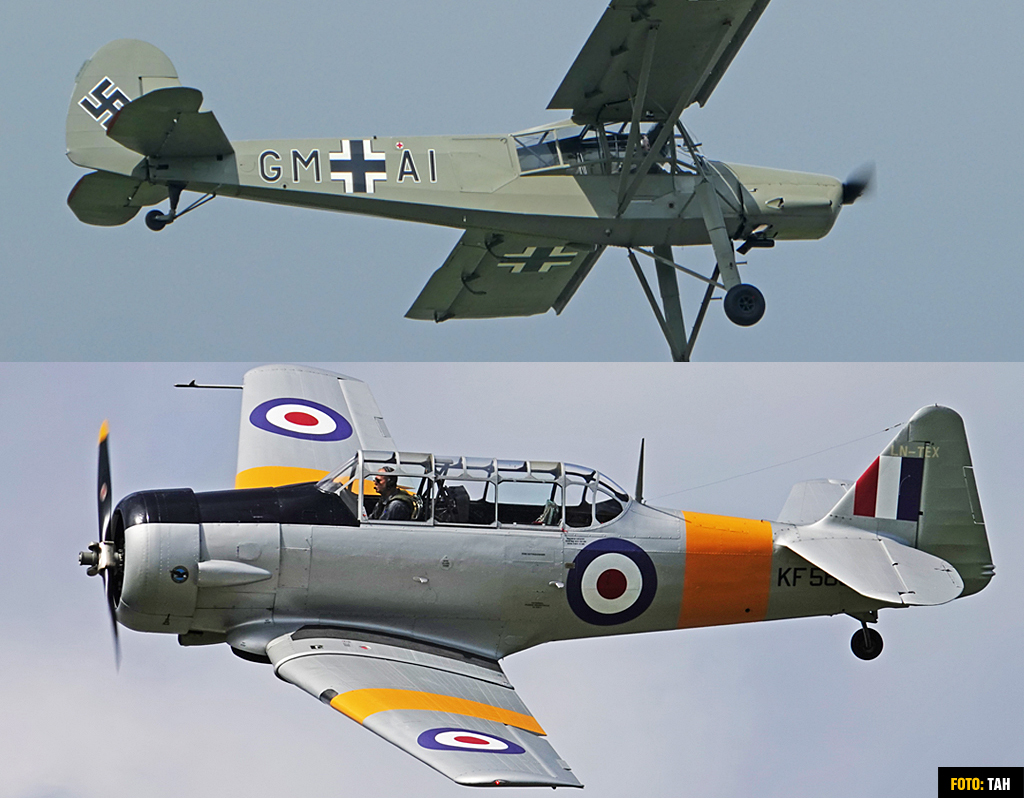 StorchHarvard