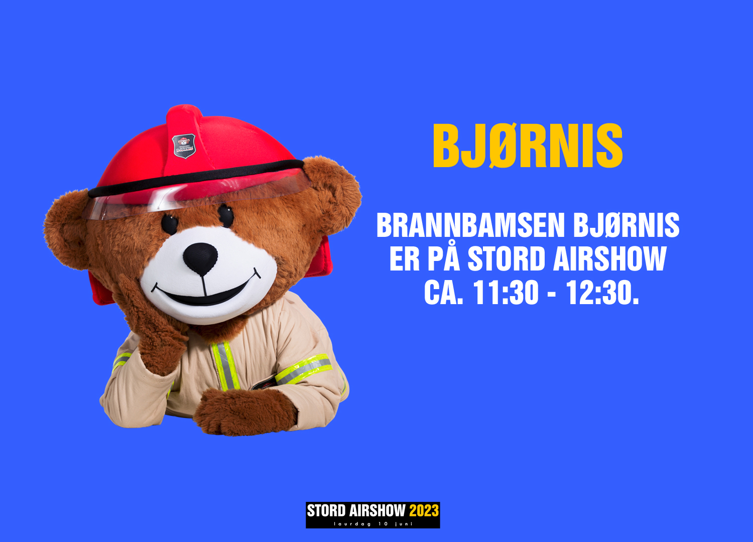 Bjørnis
